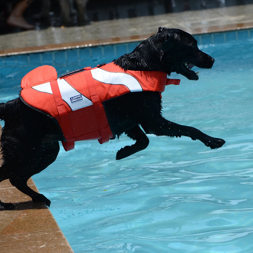 Chaleco salvavidas para perros de sirena y tiburón